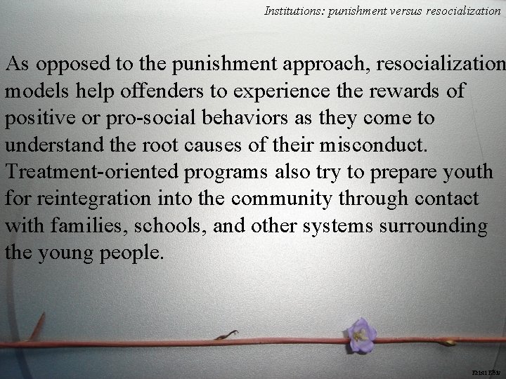 Institutions: punishment versus resocialization As opposed to the punishment approach, resocialization models help offenders