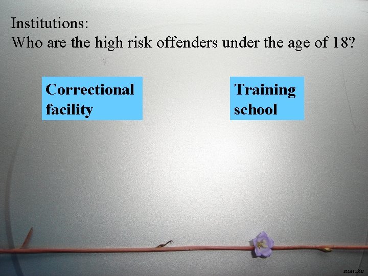 Institutions: Who are the high risk offenders under the age of 18? Correctional facility