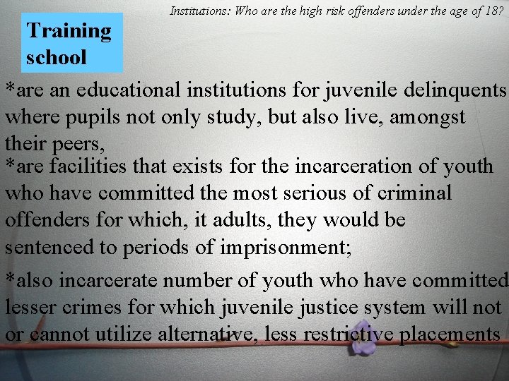 Institutions: Who are the high risk offenders under the age of 18? Training school