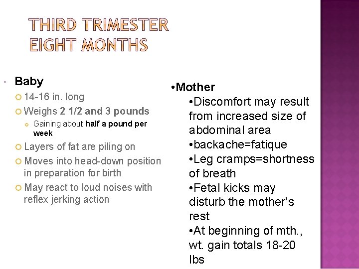  Baby • Mother 14 -16 in. long • Discomfort may result Weighs 2
