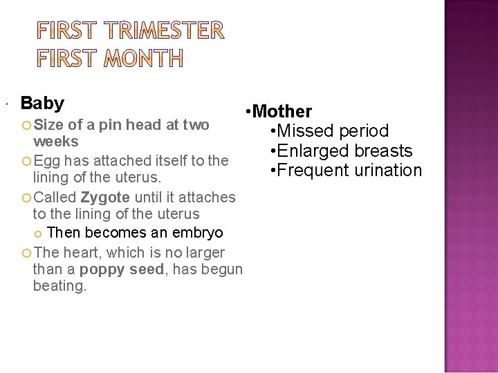  Baby • Mother Size of a pin head at two • Missed period