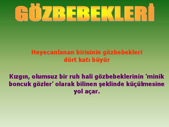 Heyecanlanan birisinin gözbebekleri dört katı büyür Kızgın, olumsuz bir ruh hali gözbebeklerinin 'minik boncuk