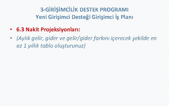 3 -GİRİŞİMCİLİK DESTEK PROGRAMI Yeni Girişimci Desteği Girişimci İş Planı • 6. 3 Nakit