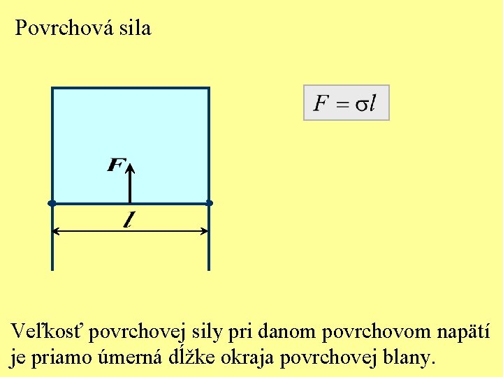 Povrchová sila Veľkosť povrchovej sily pri danom povrchovom napätí je priamo úmerná dĺžke okraja