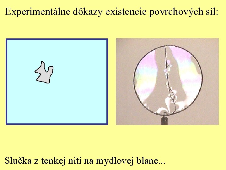 Experimentálne dôkazy existencie povrchových síl: Slučka z tenkej niti na mydlovej blane. . .