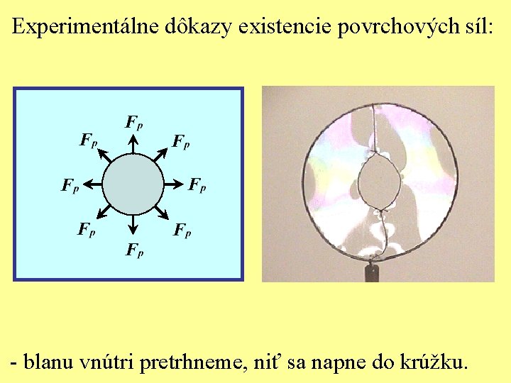 Experimentálne dôkazy existencie povrchových síl: - blanu vnútri pretrhneme, niť sa napne do krúžku.