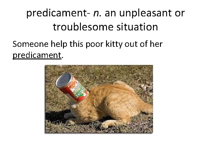 predicament- n. an unpleasant or troublesome situation Someone help this poor kitty out of