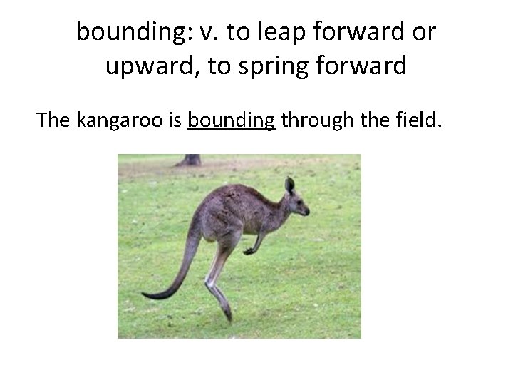 bounding: v. to leap forward or upward, to spring forward The kangaroo is bounding