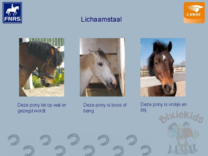 Lichaamstaal Deze pony let op wat er gezegd wordt Deze pony is boos of