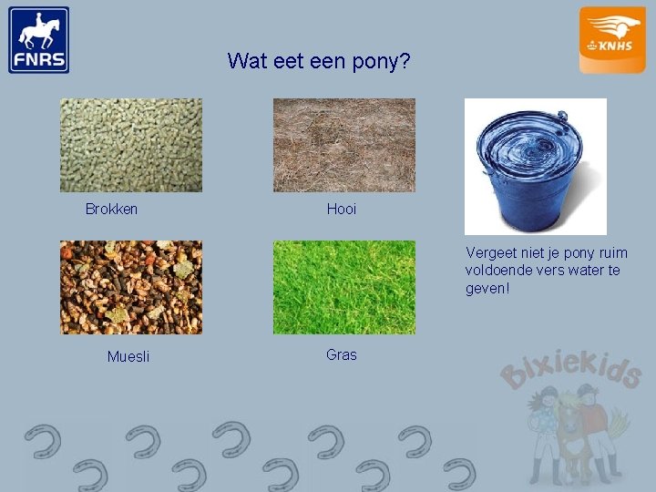 Wat een pony? Brokken Hooi Vergeet niet je pony ruim voldoende vers water te