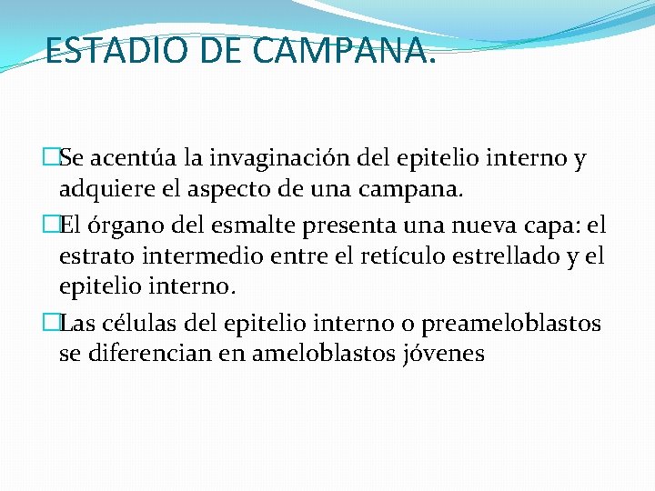 ESTADIO DE CAMPANA. �Se acentúa la invaginación del epitelio interno y adquiere el aspecto