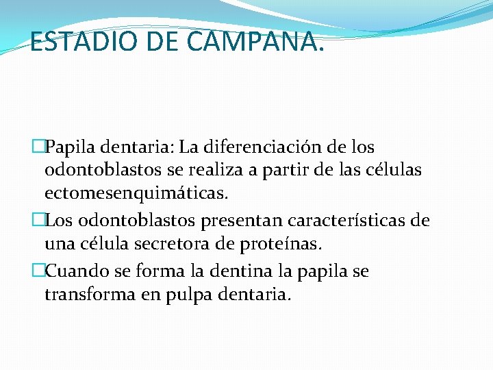 ESTADIO DE CAMPANA. �Papila dentaria: La diferenciación de los odontoblastos se realiza a partir