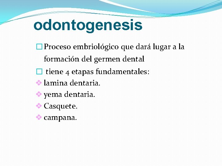 odontogenesis � Proceso embriológico que dará lugar a la formación del germen dental �