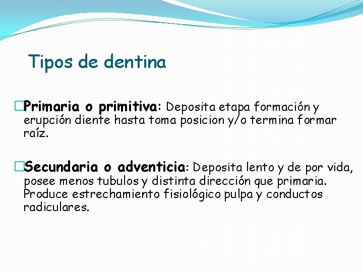 Tipos de dentina �Primaria o primitiva: Deposita etapa formación y erupción diente hasta toma