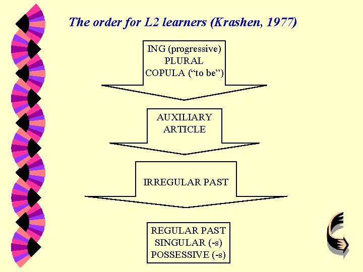 The order for L 2 learners (Krashen, 1977) ING (progressive) PLURAL COPULA (“to be”)