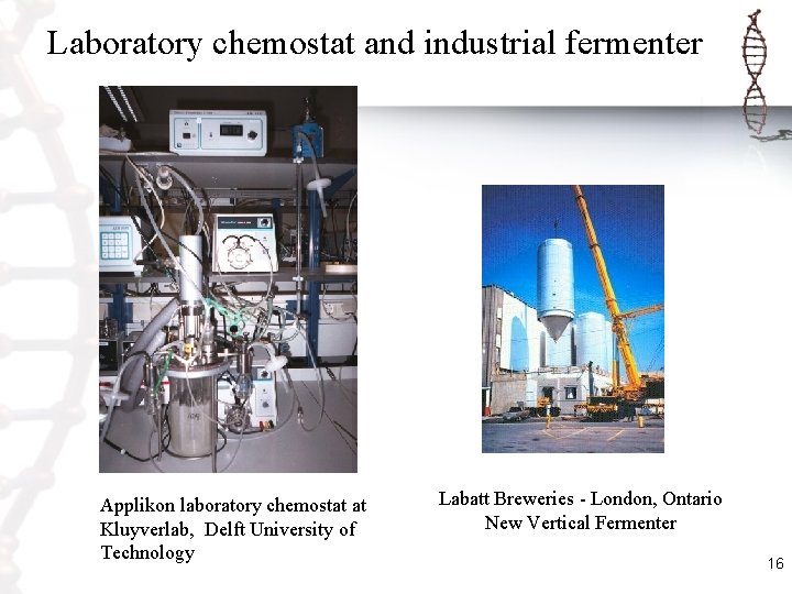 Laboratory chemostat and industrial fermenter Applikon laboratory chemostat at Kluyverlab, Delft University of Technology