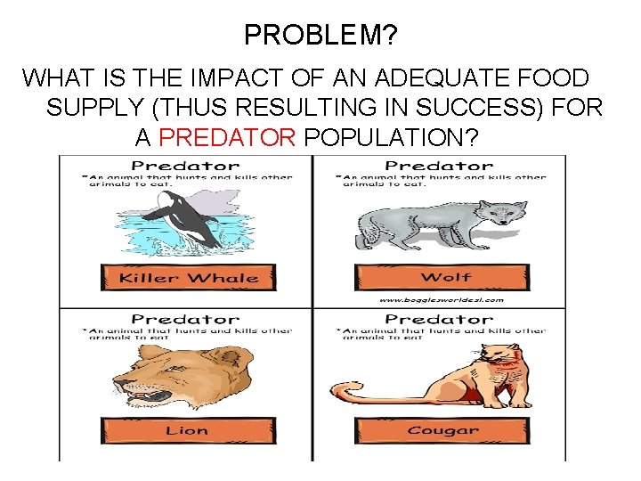 PROBLEM? WHAT IS THE IMPACT OF AN ADEQUATE FOOD SUPPLY (THUS RESULTING IN SUCCESS)