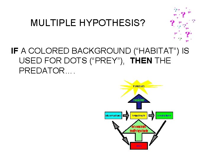 MULTIPLE HYPOTHESIS? IF A COLORED BACKGROUND (“HABITAT”) IS USED FOR DOTS (“PREY”), THEN THE