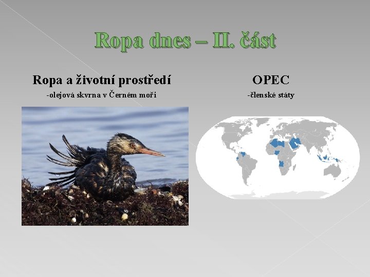 Ropa dnes – II. část Ropa a životní prostředí OPEC -olejová skvrna v Černém