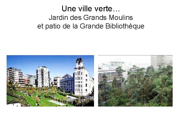 Une ville verte… Jardin des Grands Moulins et patio de la Grande Bibliothèque 