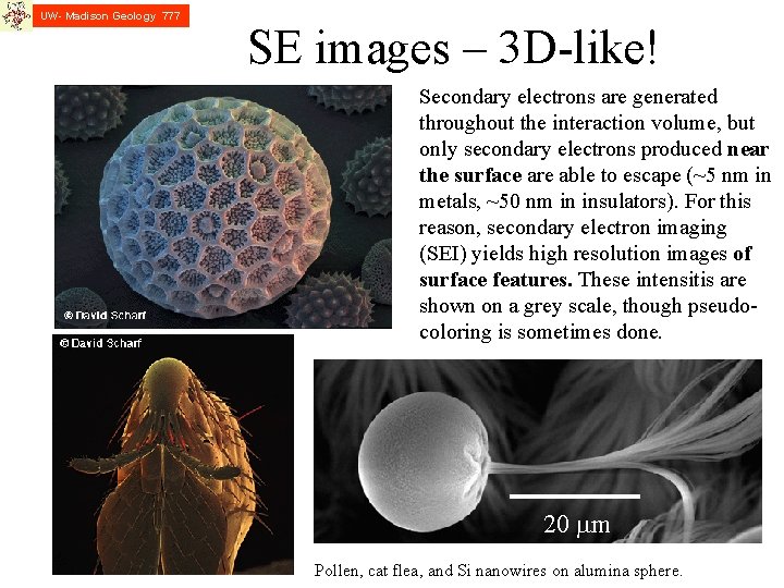 UW- Madison Geology 777 SE images – 3 D-like! Secondary electrons are generated throughout