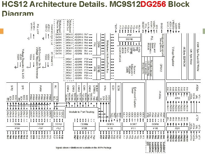 HCS 12 Architecture Details. MC 9 S 12 DG 256 Block Diagram 