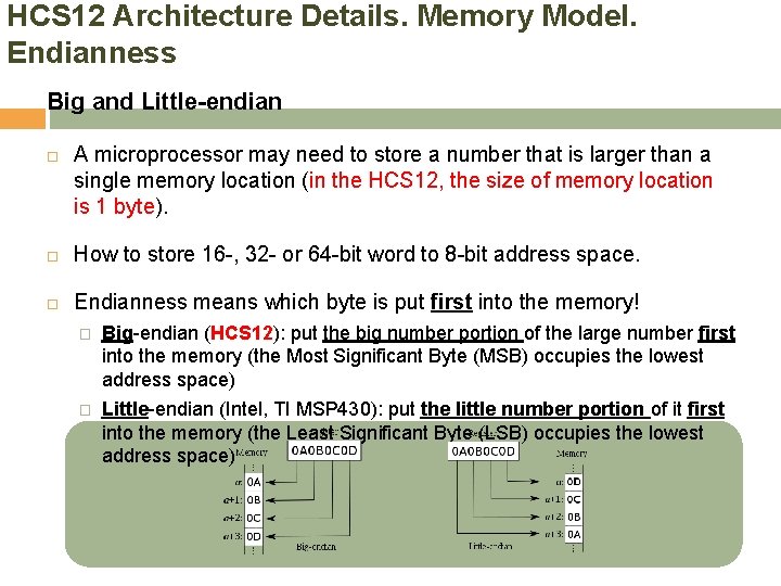 HCS 12 Architecture Details. Memory Model. Endianness Big and Little-endian A microprocessor may need