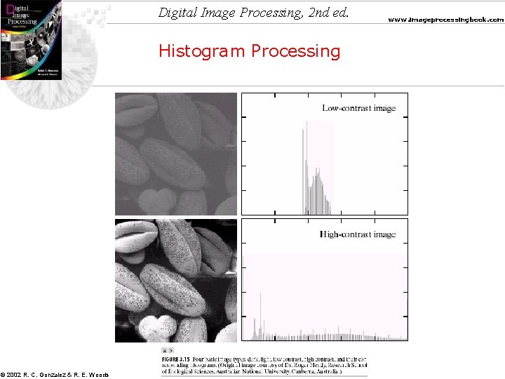 Digital Image Processing, 2 nd ed. Histogram Processing © 2002 R. C. Gonzalez &