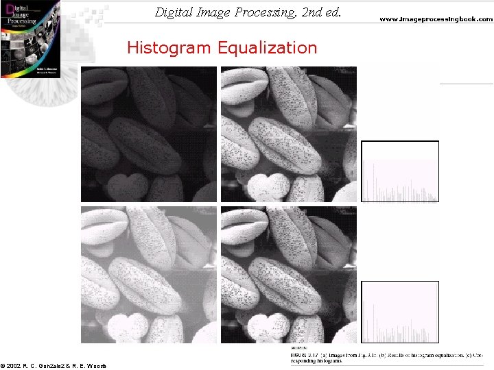 Digital Image Processing, 2 nd ed. Histogram Equalization © 2002 R. C. Gonzalez &