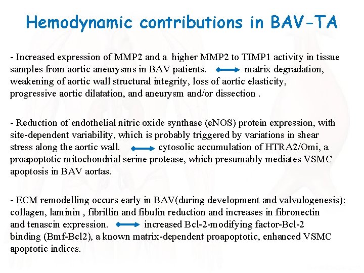 Hemodynamic contributions in BAV-TA - Increased expression of MMP 2 and a higher MMP