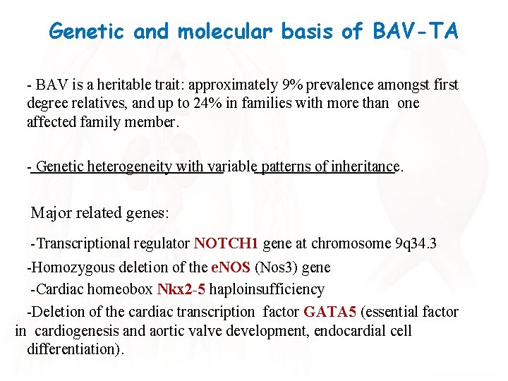 Genetic and molecular basis of BAV-TA - BAV is a heritable trait: approximately 9%