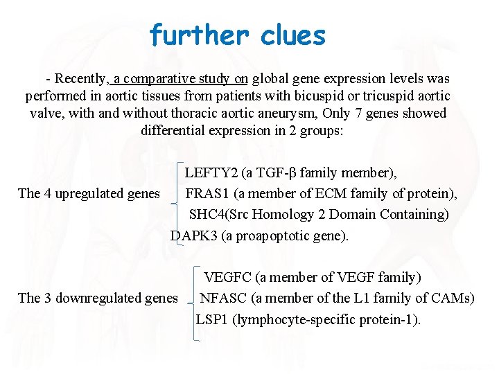 further clues - Recently, a comparative study on global gene expression levels was performed