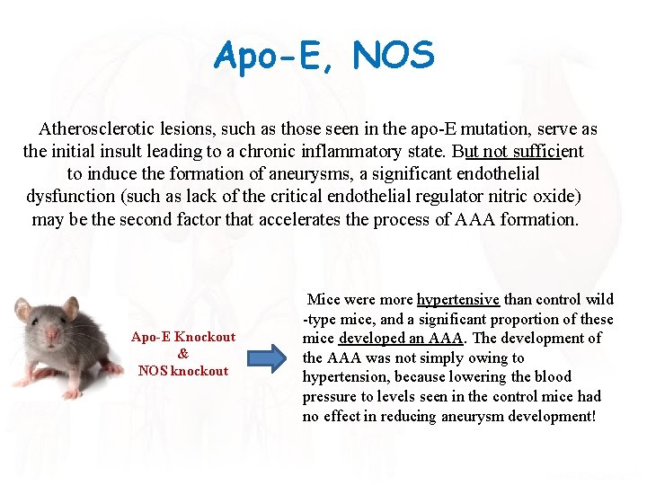Apo-E, NOS Atherosclerotic lesions, such as those seen in the apo-E mutation, serve as