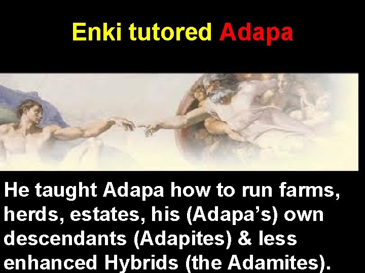 Enki tutored Adapa He taught Adapa how to run farms, herds, estates, his (Adapa’s)
