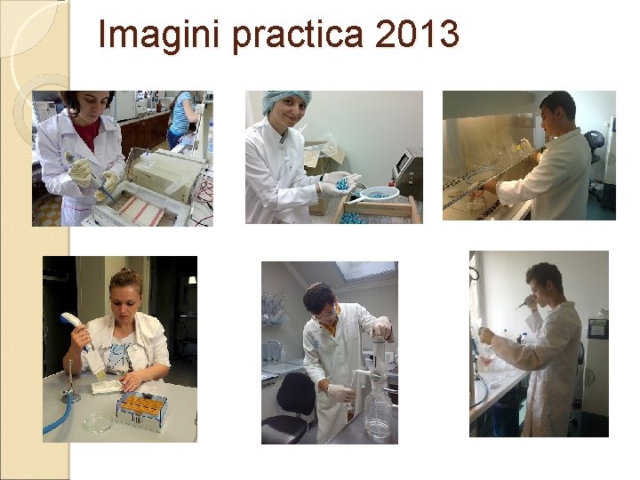 Imagini practica 2013 