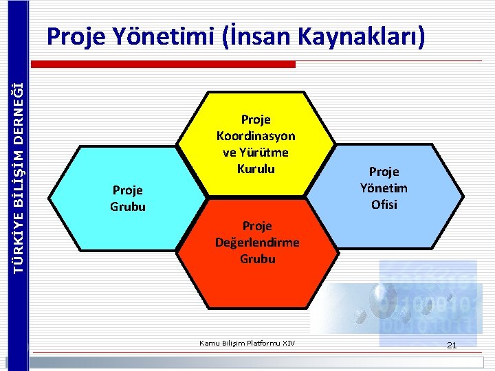 TÜRKİYE BİLİŞİM DERNEĞİ Proje Yönetimi (İnsan Kaynakları) Proje Koordinasyon ve Yürütme Kurulu Proje Grubu