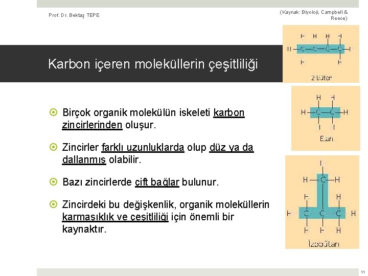 Prof. Dr. Bektaş TEPE (Kaynak: Biyoloji, Campbell & Reece) Karbon içeren moleküllerin çeşitliliği Birçok