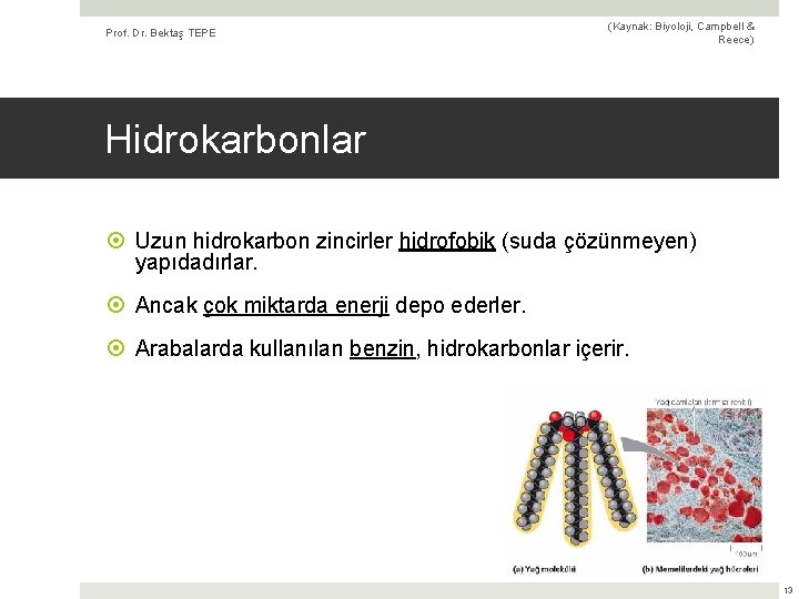 Prof. Dr. Bektaş TEPE (Kaynak: Biyoloji, Campbell & Reece) Hidrokarbonlar Uzun hidrokarbon zincirler hidrofobik