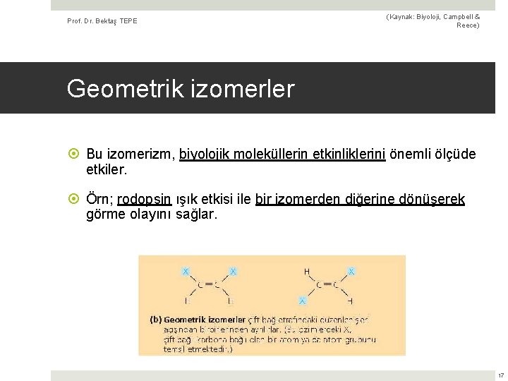 Prof. Dr. Bektaş TEPE (Kaynak: Biyoloji, Campbell & Reece) Geometrik izomerler Bu izomerizm, biyolojik