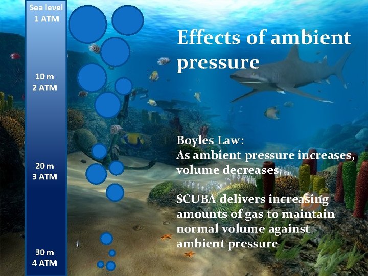 Sea level 1 ATM 10 m 2 ATM 20 m 3 ATM 30 m
