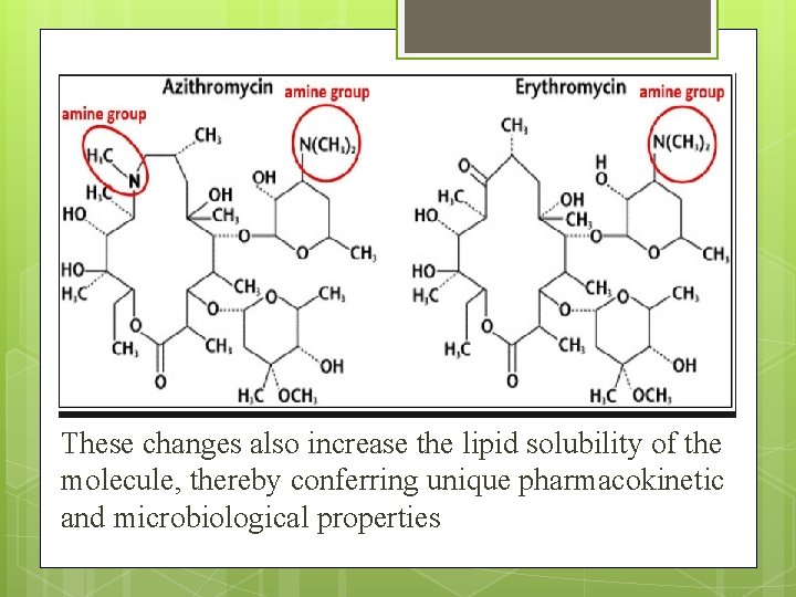 These changes also increase the lipid solubility of the molecule, thereby conferring unique pharmacokinetic