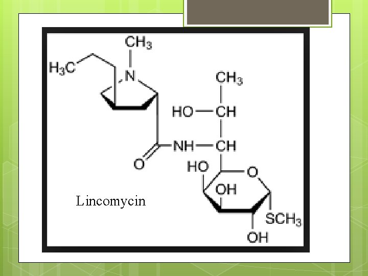 Lincomycin 