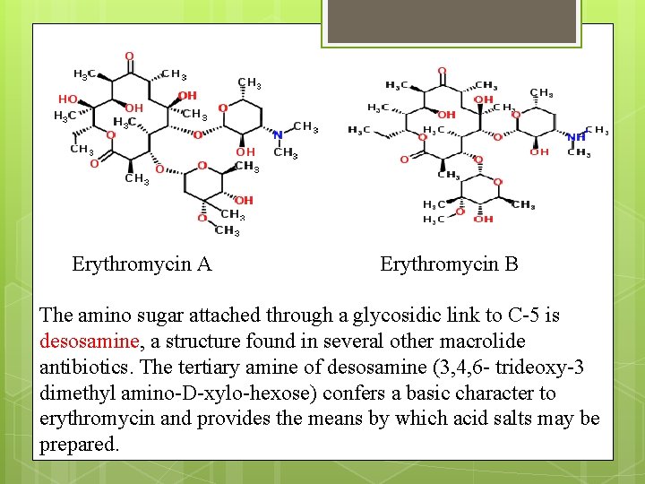 Erythromycin A Erythromycin B The amino sugar attached through a glycosidic link to C-5