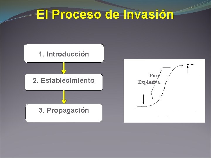 El Proceso de Invasión 1. Introducción 2. Establecimiento 3. Propagación Fase Explosiva 