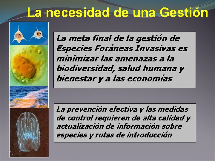 La necesidad de una Gestión La meta final de la gestión de Especies Foráneas