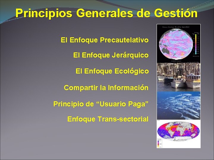 Principios Generales de Gestión El Enfoque Precautelativo El Enfoque Jerárquico El Enfoque Ecológico Compartir