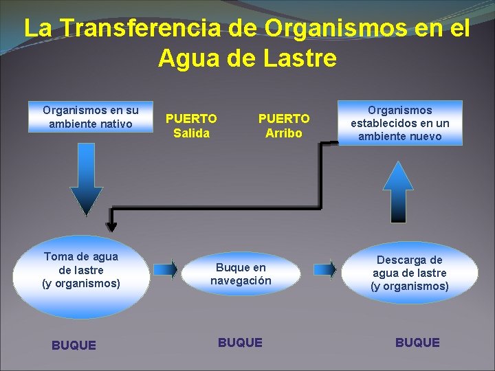 La Transferencia de Organismos en el Agua de Lastre Organismos en su ambiente nativo