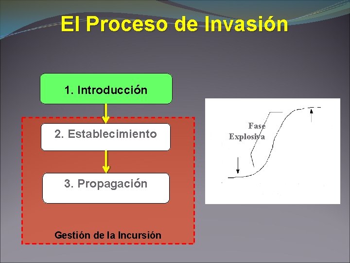 El Proceso de Invasión 1. Introducción 2. Establecimiento 3. Propagación Gestión de la Incursión