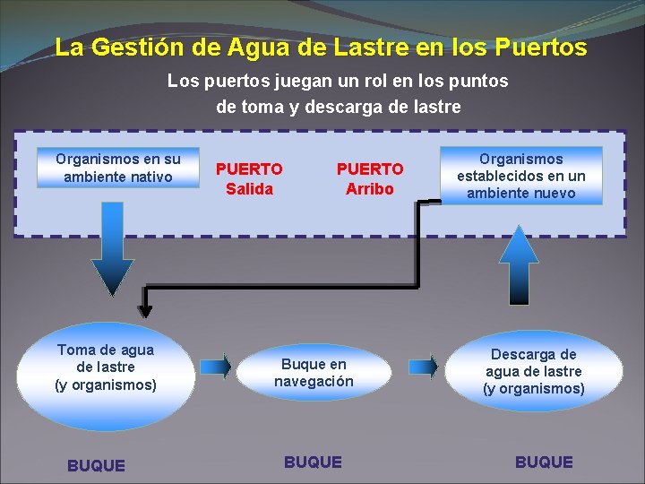 La Gestión de Agua de Lastre en los Puertos Los puertos juegan un rol