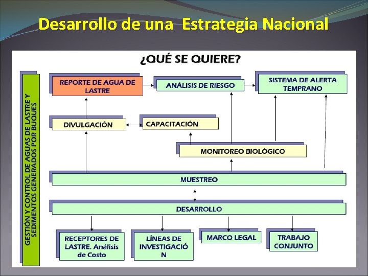 Desarrollo de una Estrategia Nacional 